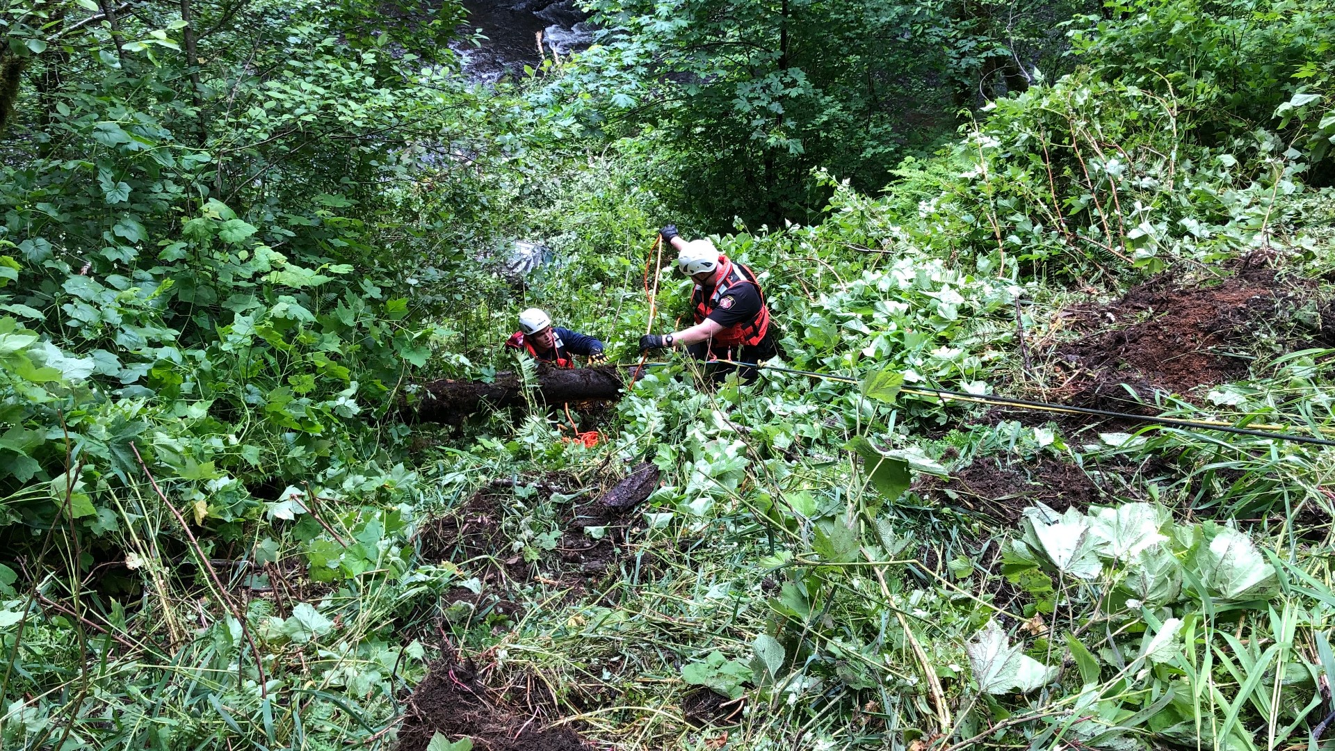 Two dead, four hurt in Yamhill County crash | kgw.com