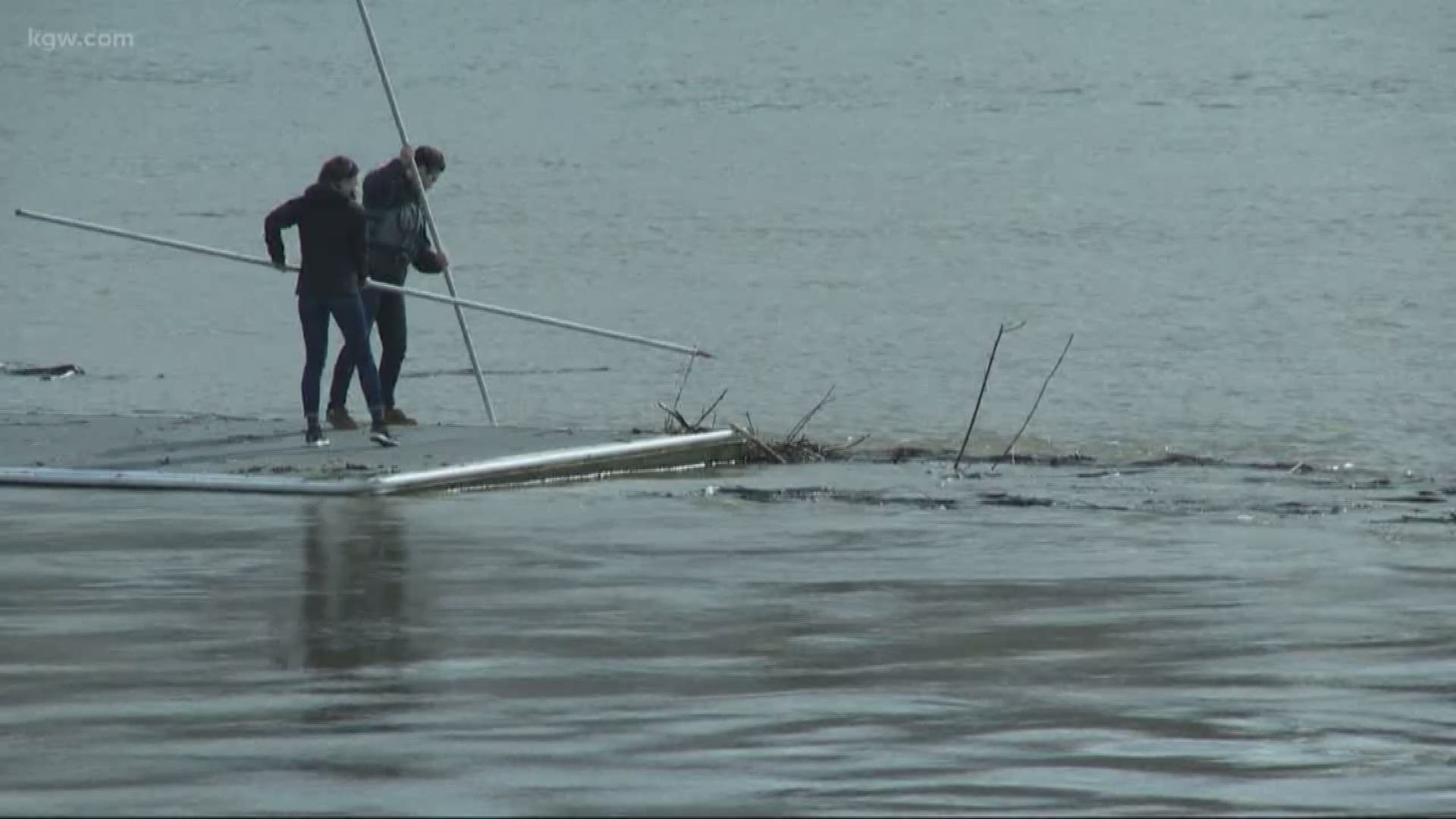 Logs and debris litter the Willamette River as it continues to swell.