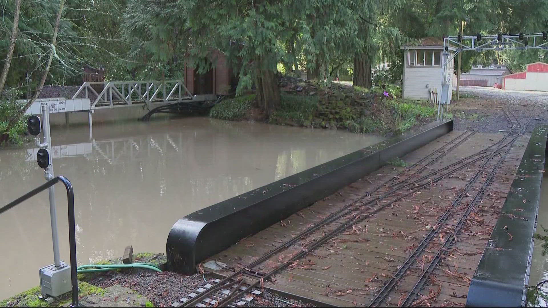 Basement Flooding: Causes and Solutions to Prevent Damage