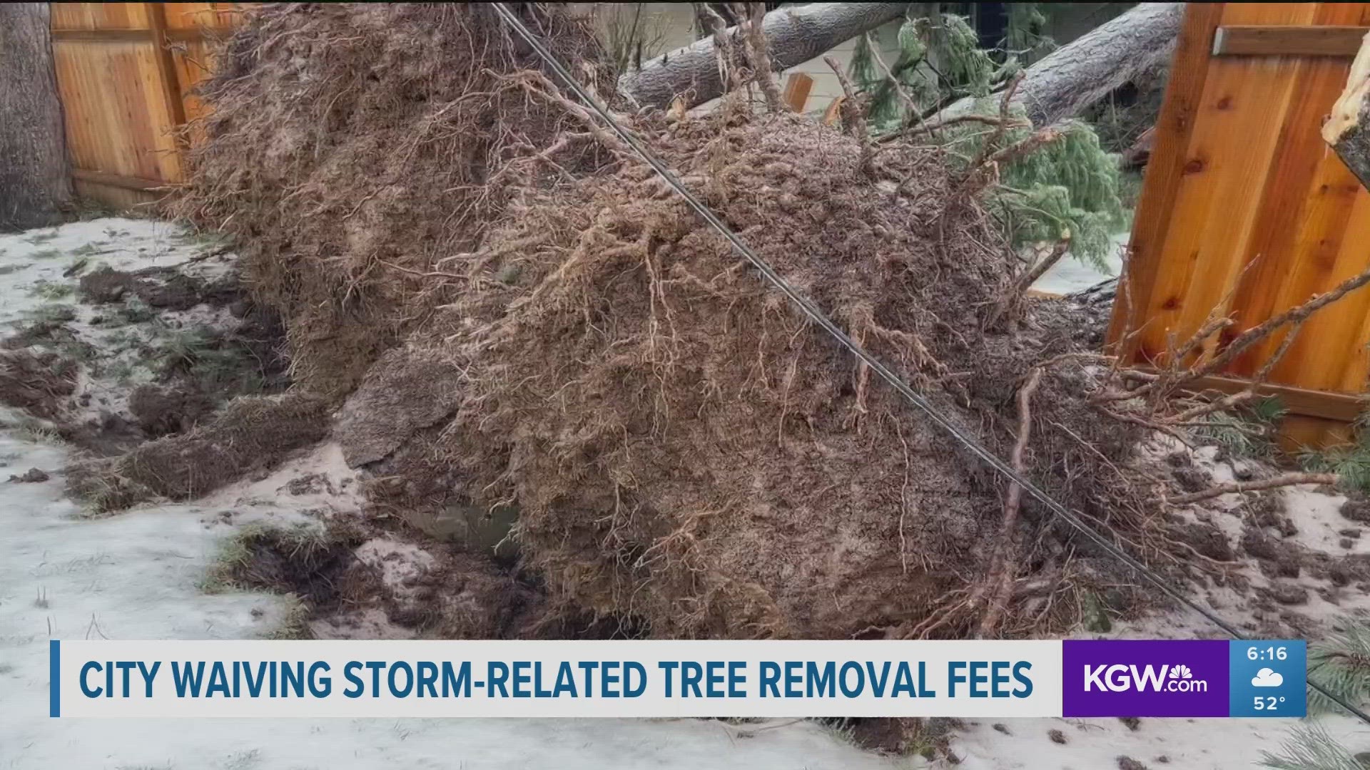 Portland is waiving tree removal and replanting application fees for any damages that occurred between Jan. 12-Feb. 23 to help with winter storm recovery.