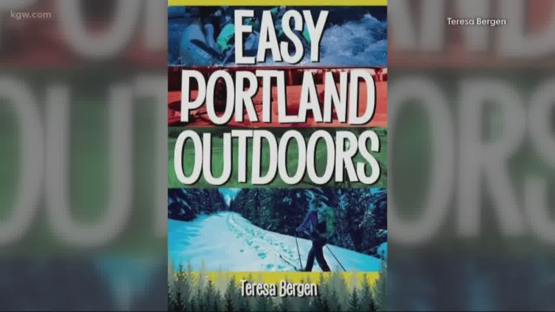Author Teresa Bergen gives her picks for winter fun
