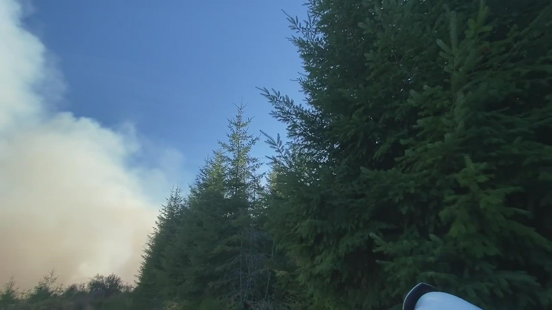 A fire has burned at least 30 acres in a forested area northwest of Scappoose on Saturday, fire officials said.