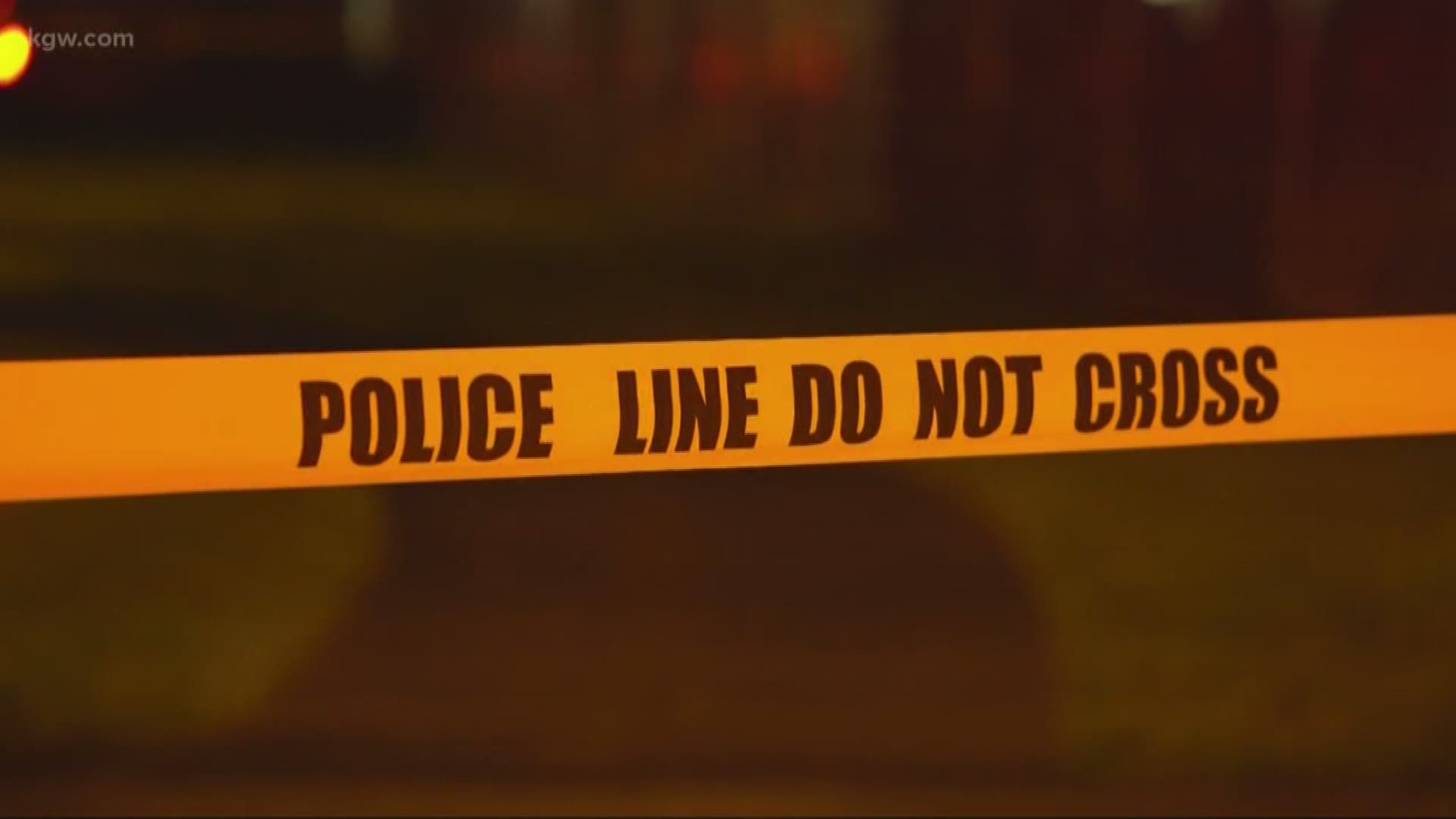 Homes hit in shooting in Portsmouth neighborhood