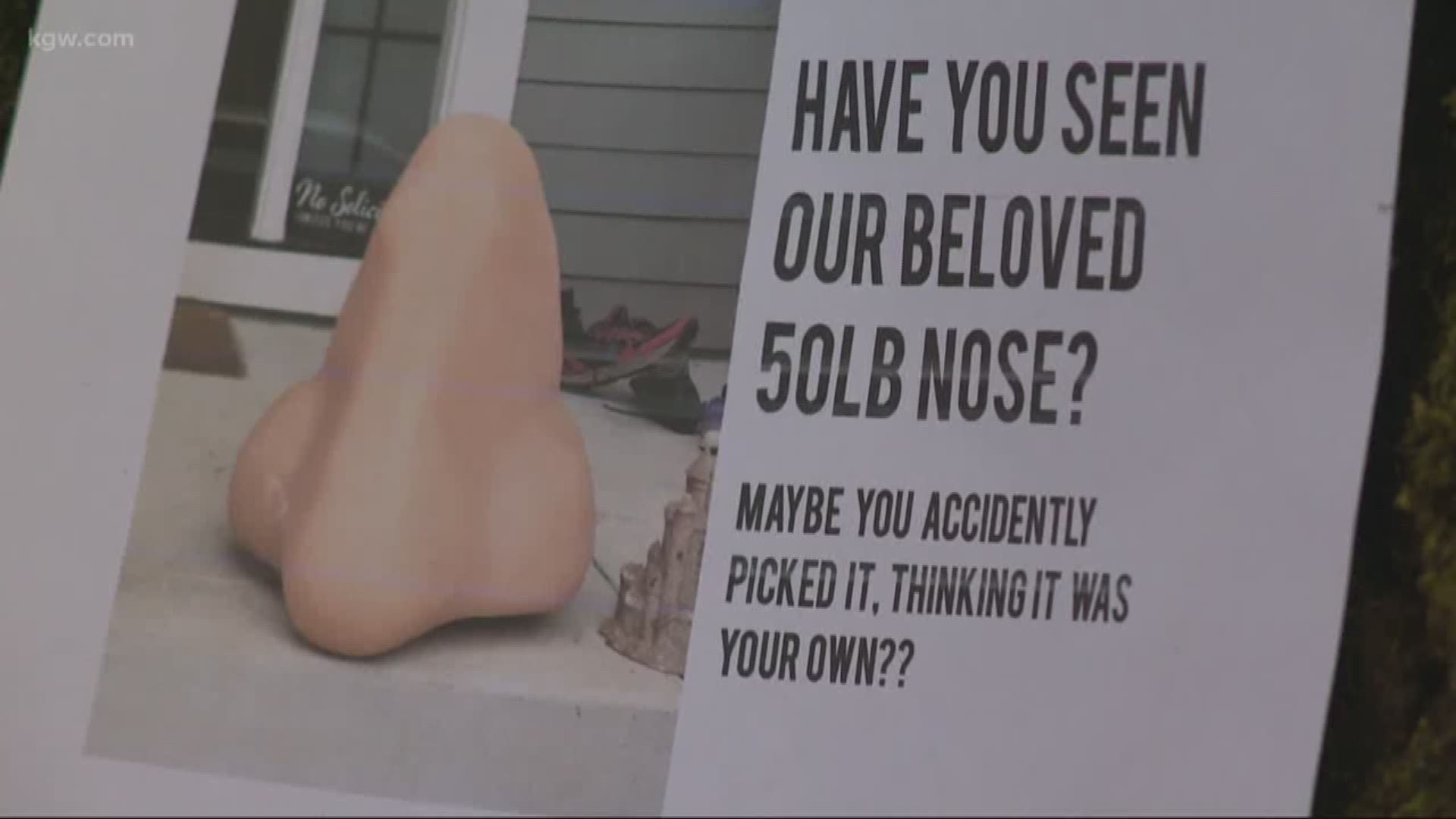 Kids are hoping to find a large nose that was stolen.