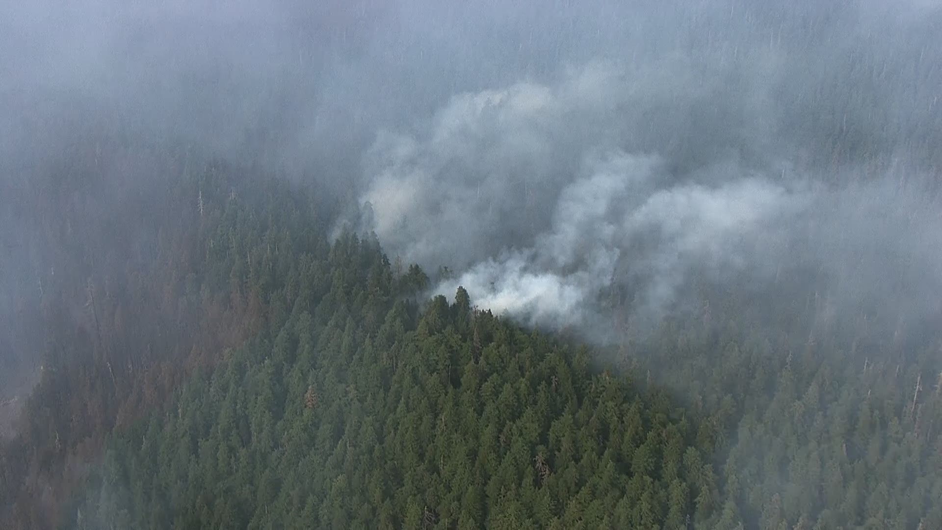 Sky 8 video from Sept. 7, 2017 of the damage left behind by Eagle Creek Fire