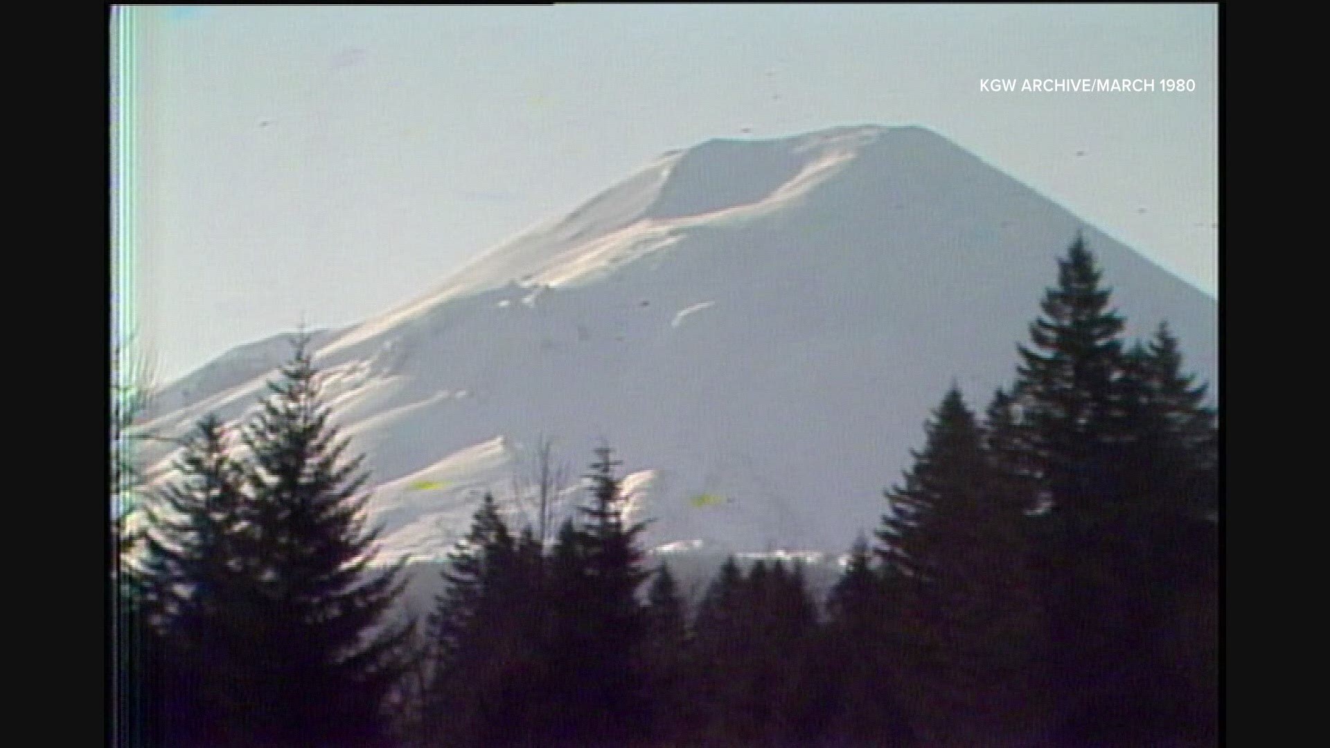 The bounceback of Mount St. Helens after its 1980 eruption is due to one pesky animal. Scientists continue to study the volcano to learn more about its activity.