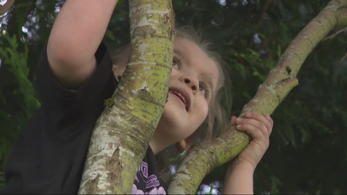 'Just grateful': 4-year-old Beaverton girl credited with saving ...