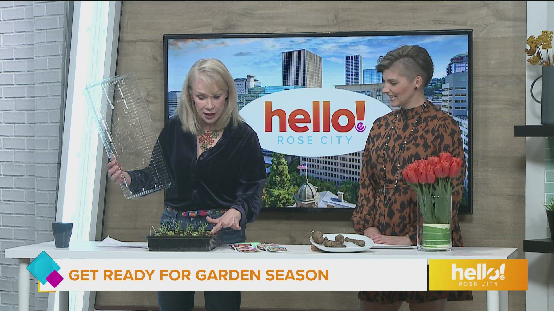 Anne talks about seeds and starts, and how to plant dahlias