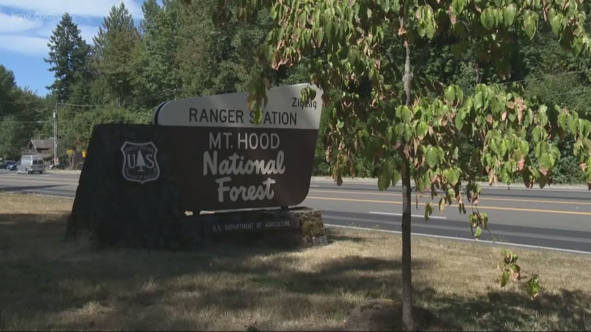 A missing hiker who was found dead in the Mount Hood National Forest area was killed in a suspected cougar attack, according to the Clackamas County Sheriff's Office.