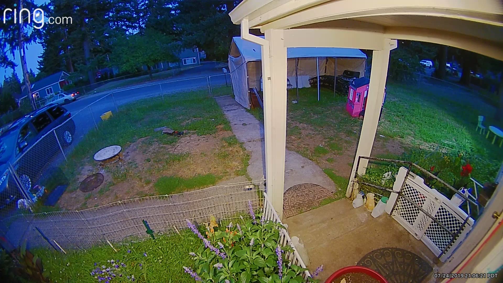 Surveillance video shows a man stealing a dog from a SE Portland fenced yard.