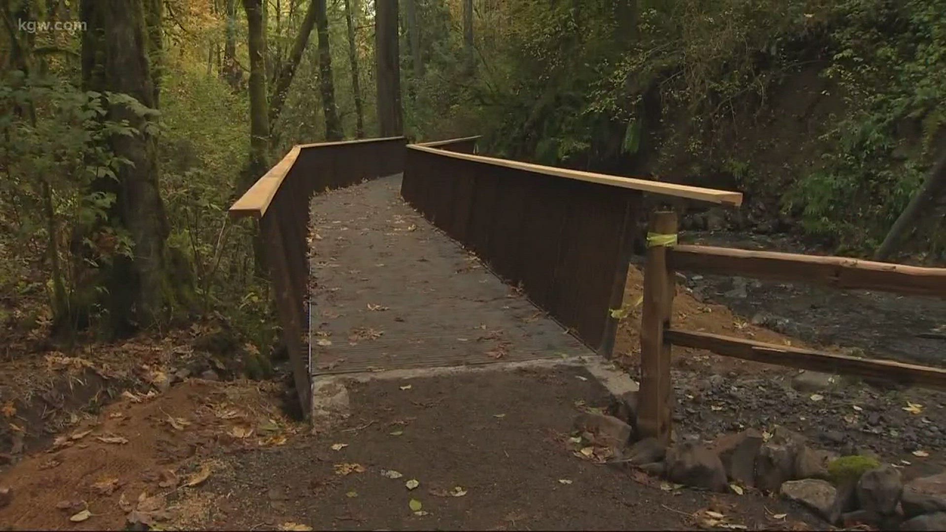 New trail bridge opens in Portland's Forest Park