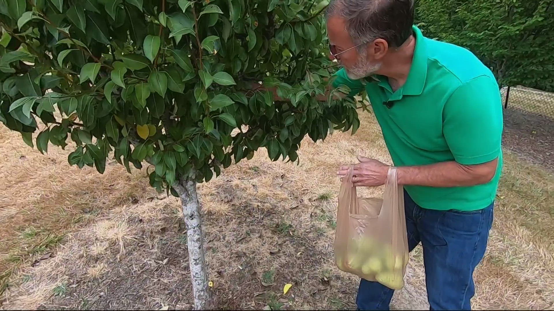 The Clark County Food Bank says there’s a need for donations of fruits and vegetables alongside the nonperishables and dry goods they receive.