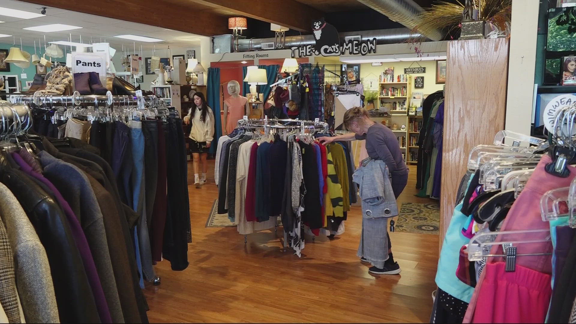 The thrift store has raised hundreds of thousands of dollars for cats in need, but the team said the operational costs just don’t pencil out anymore.