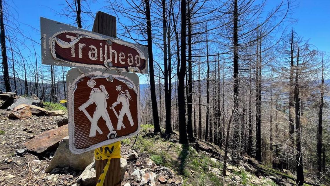Burned trails still closed in the Santiam State Forest - Vimarsana News