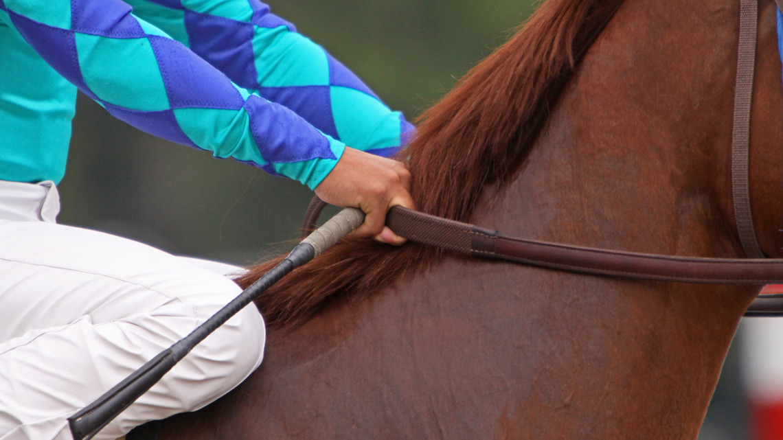 Jockey dies in Prineville horse race | kgw.com