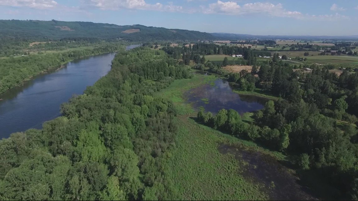 Grant's Getaways: A cool summer retreat along Sauvie Island - Vimarsana News