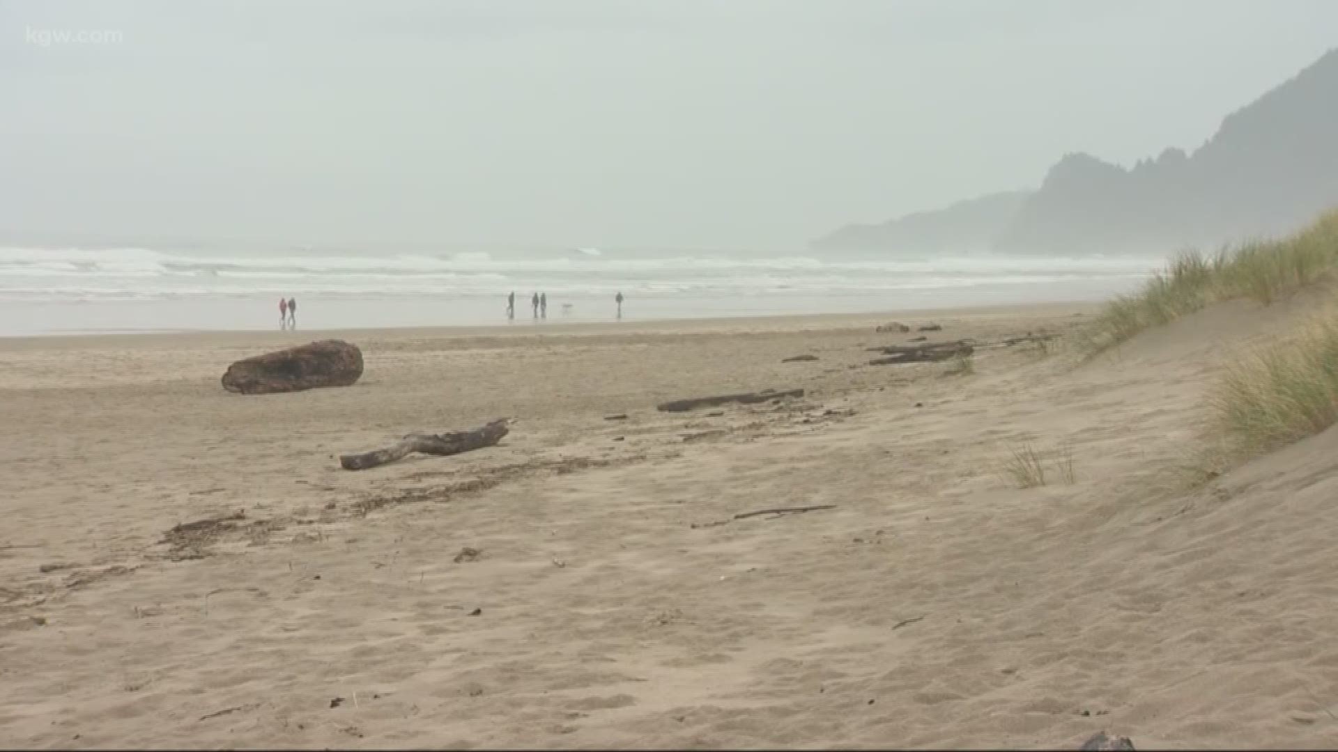 A woman was seriously injured after a sneaker wave knocked a log into her on the Oregon Coast.