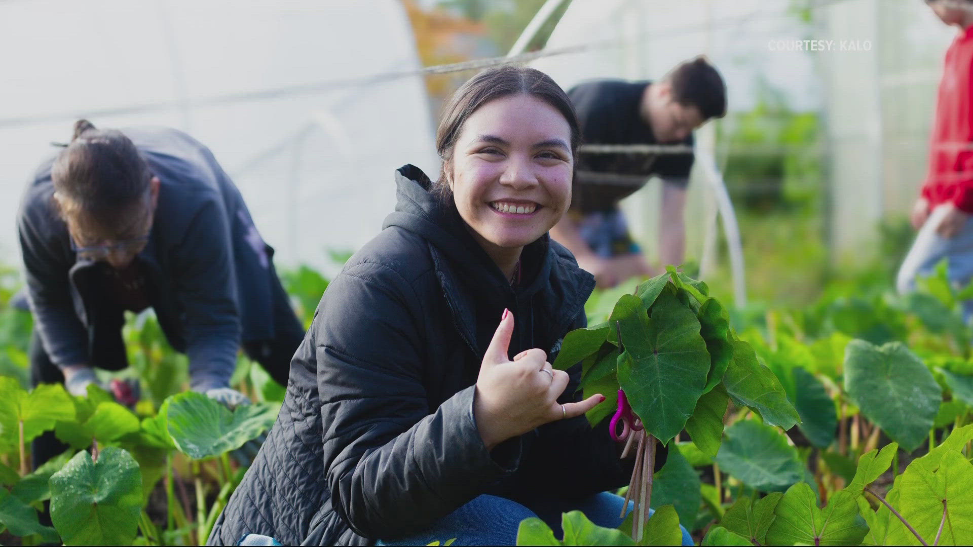 kgw.com - Libby Dowsett - Oregon Food Bank program helps BIPOC community members grow food and connection at Unity Farm