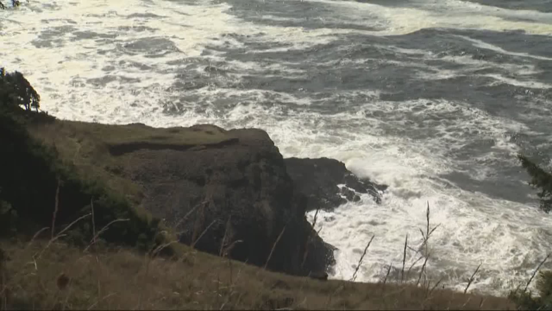 A husband and wife who were swept out to sea by a wave Sunday afternoon along the Oregon Coast did not survive, Oregon State Police said.