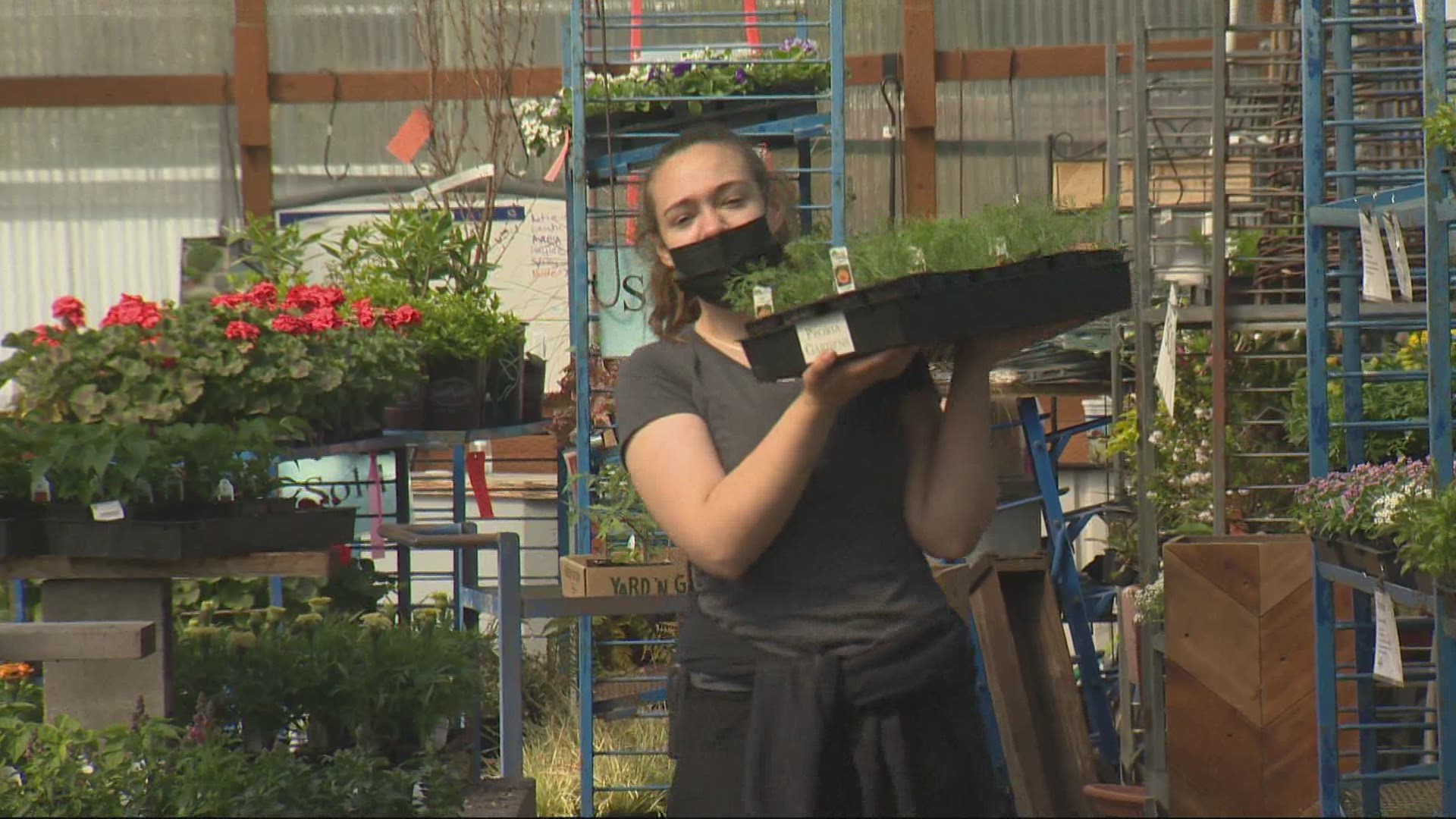 With people spending a lot of time at home, yards are getting a lot of attention. And a trip to the garden center looks quite different from this time last year.