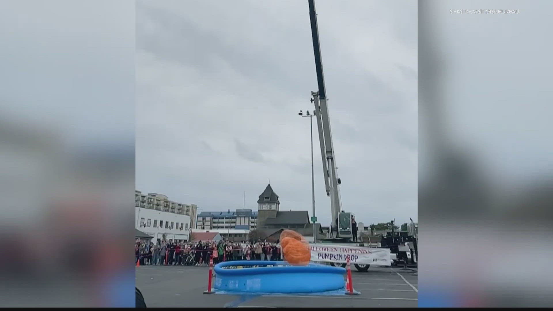 Using a crane, the city dropped a giant pumpkin, weighing more than 1,200 pounds, into a pool.