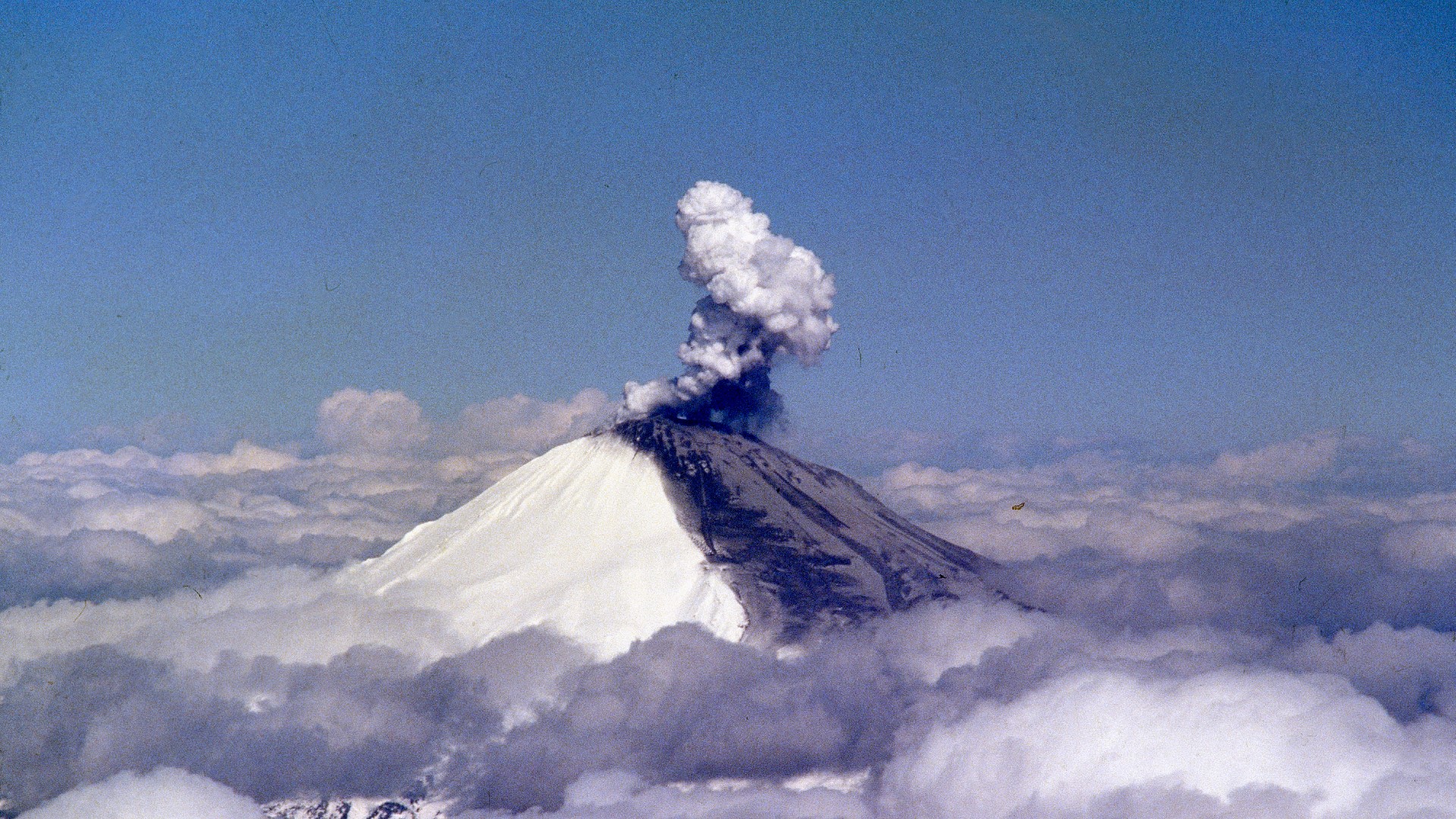 volcano case study mount st helens 1980