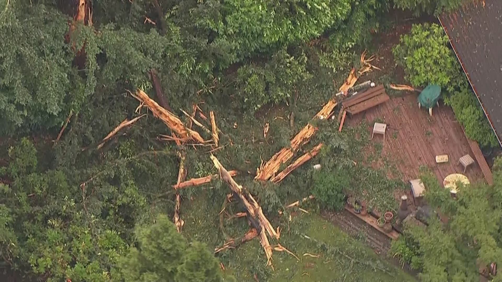 Lightning brought down at least 3 trees in Beaverton Thursday morning. No one was hurt.