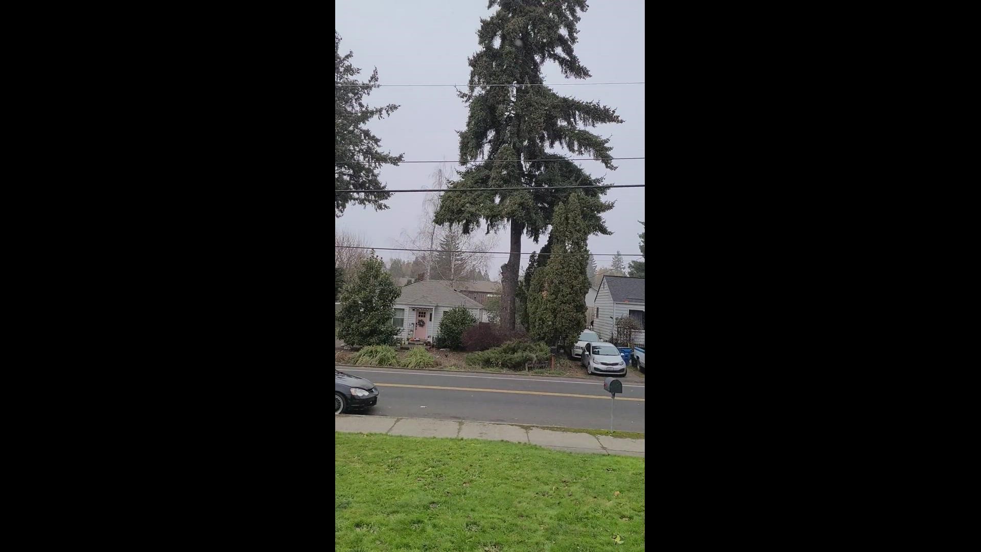 Weather Light Snow Falling In Vancouver Washington