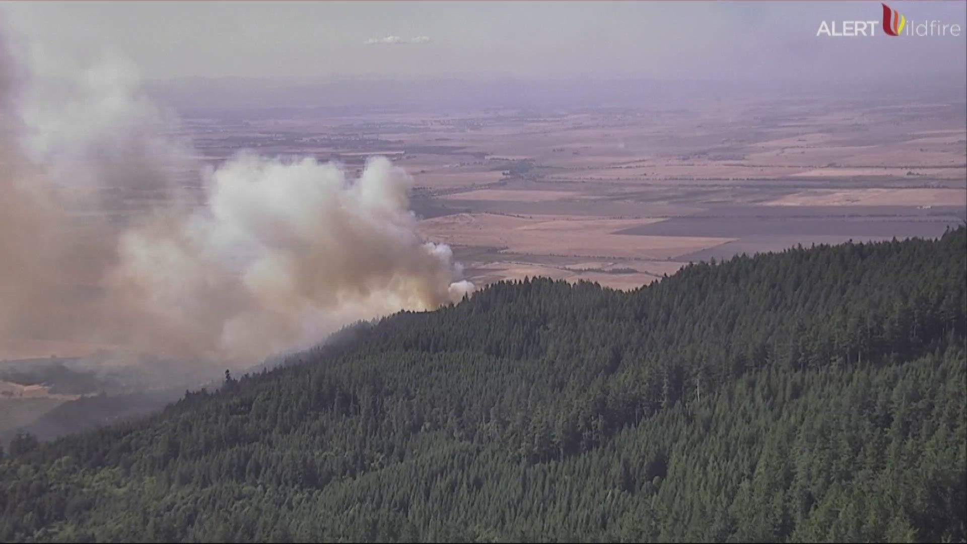 Multiple fire agencies are responding to a rapidly-growing wildfire burning near Harrisburg, east of Interstate 5. Smoke can be seen from the interstate.