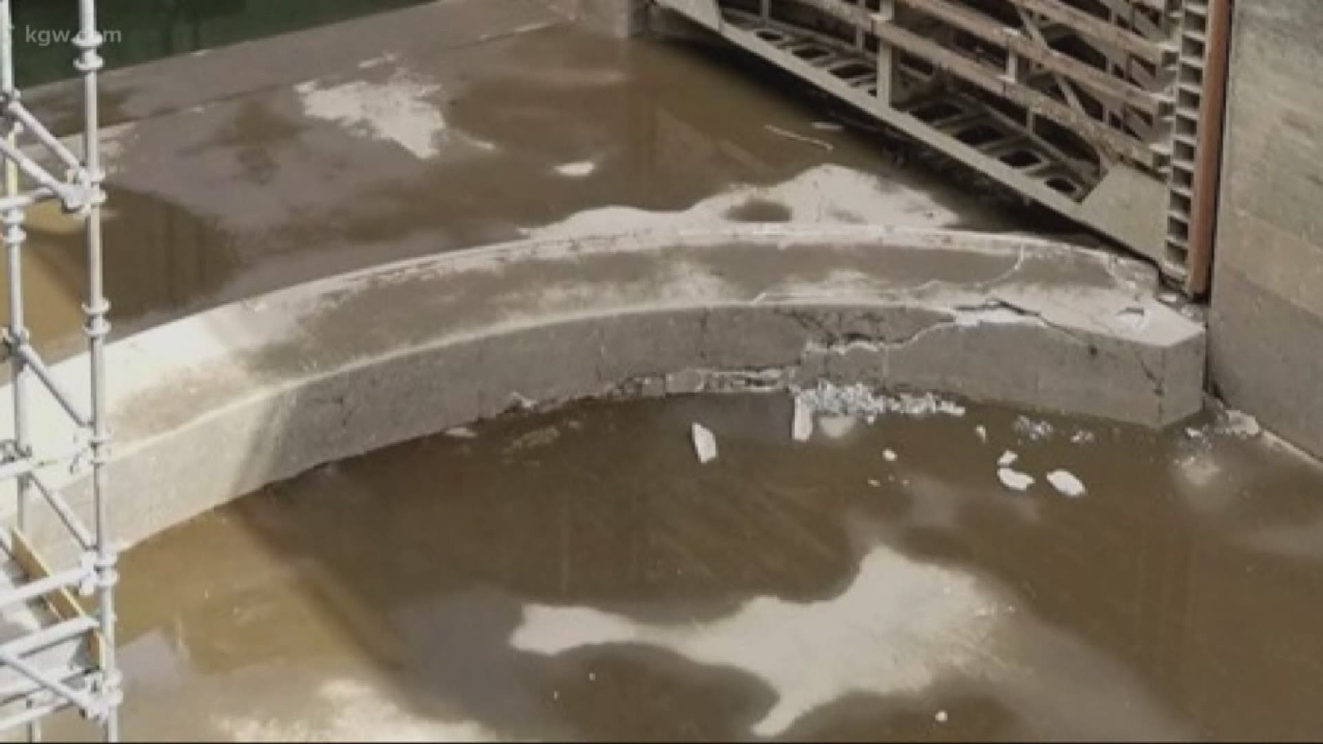 A critical navigation lock at the Bonneville Dam on the Columbia River has been shut down because of cracked concrete.