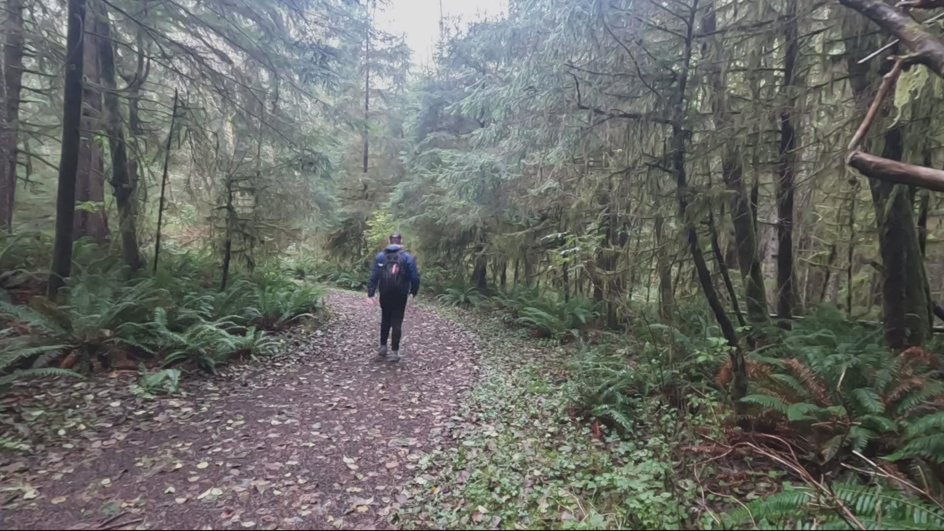 The Clatsop Loop at Ecola State Park has been featured in four movies due to the eerie setting. Legend has it that the area is haunted, to boot