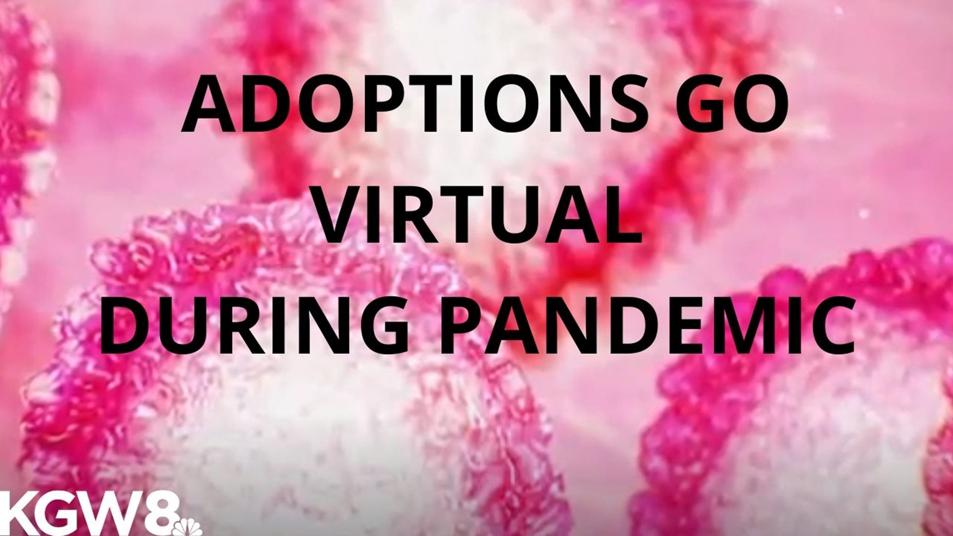 Virtual adoptions. How the process is going online during the coronavirus pandemic.