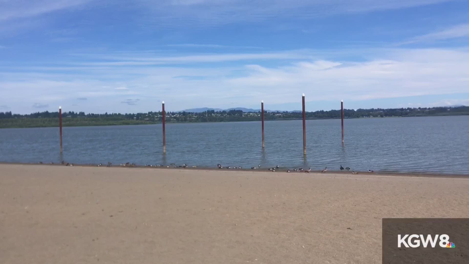 Health officials say people should not go in the water at Vancouver Lake.