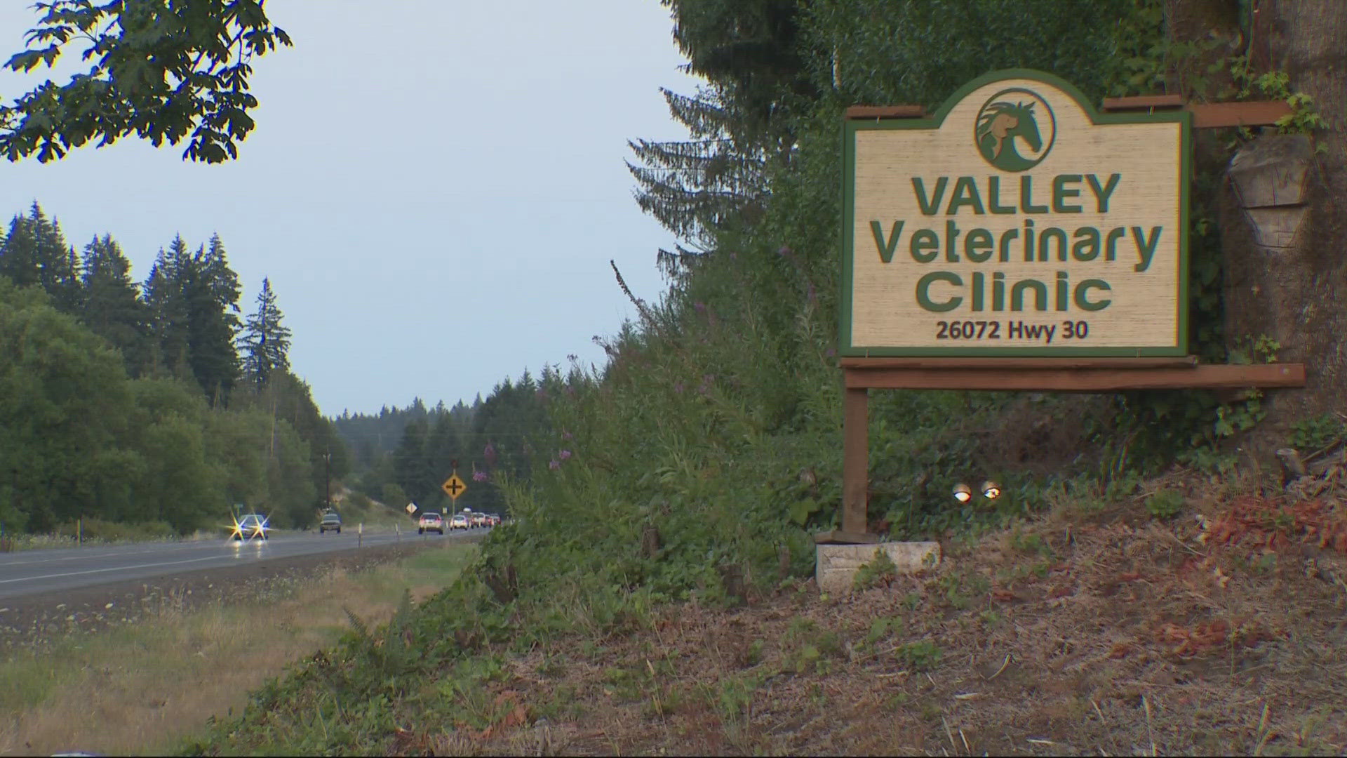 Staff at Valley Veterinary Clinic rushed to help on Friday morning. In a letter, staff blamed ODOT for a lack of action.