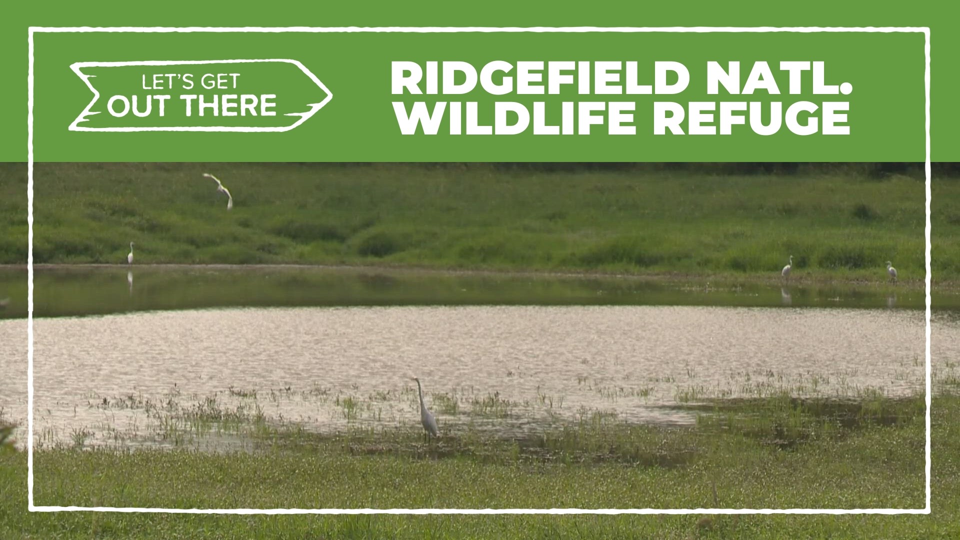 The Ridgefield National Wildlife Refuge is home to a network of accessible trails and roads. From them, you can take in so much that nature has to offer.