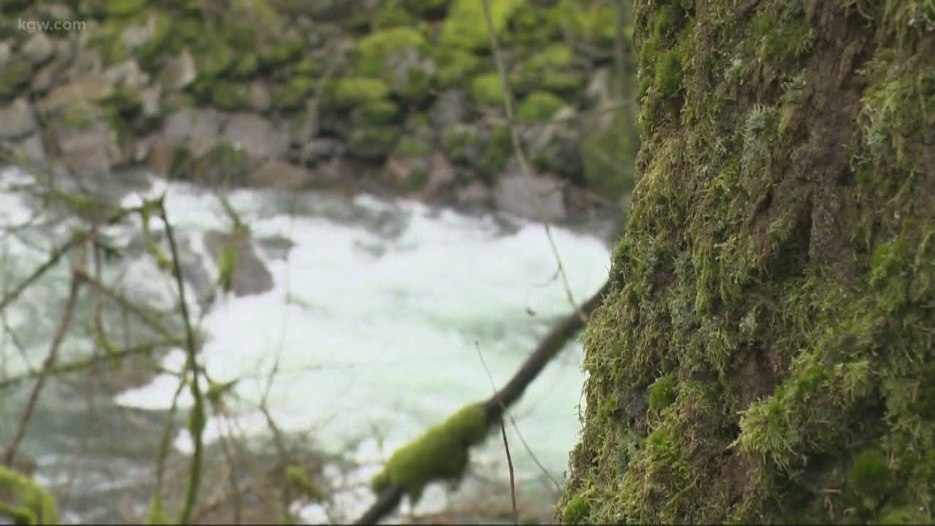 Naked man found dead in Washougal River, deputies working to ID