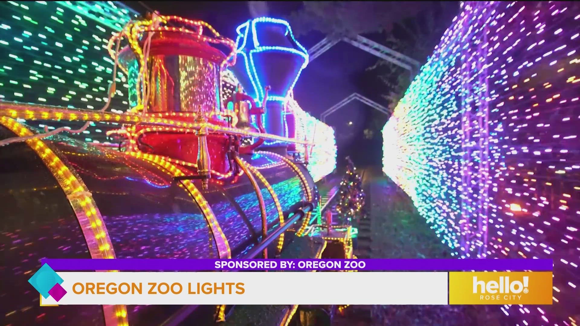 6+ Zoo Lights Pdx