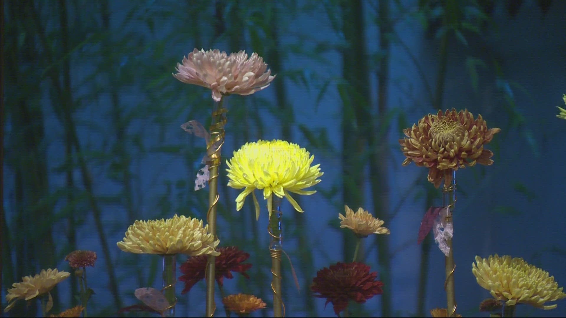 The biggest hit of the Nights of the Golden Flower event are the glow-in-the-dark chrysanthemums.