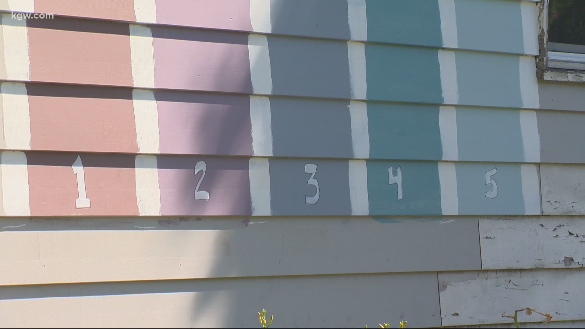 A survey about home paint colors has gone viral. Devon Haskins has the story.