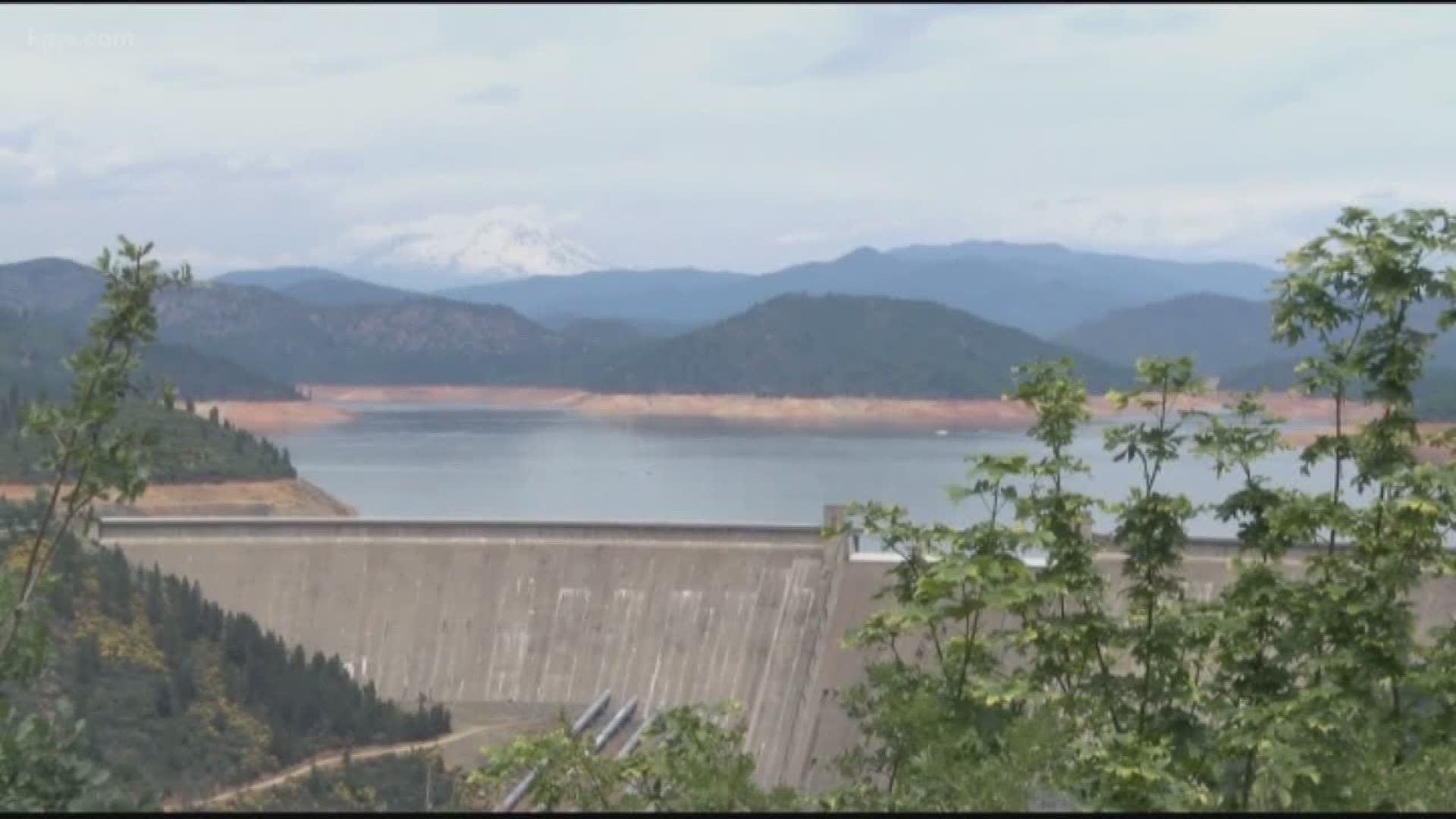 University of Oregon student found dead at Shasta Lake