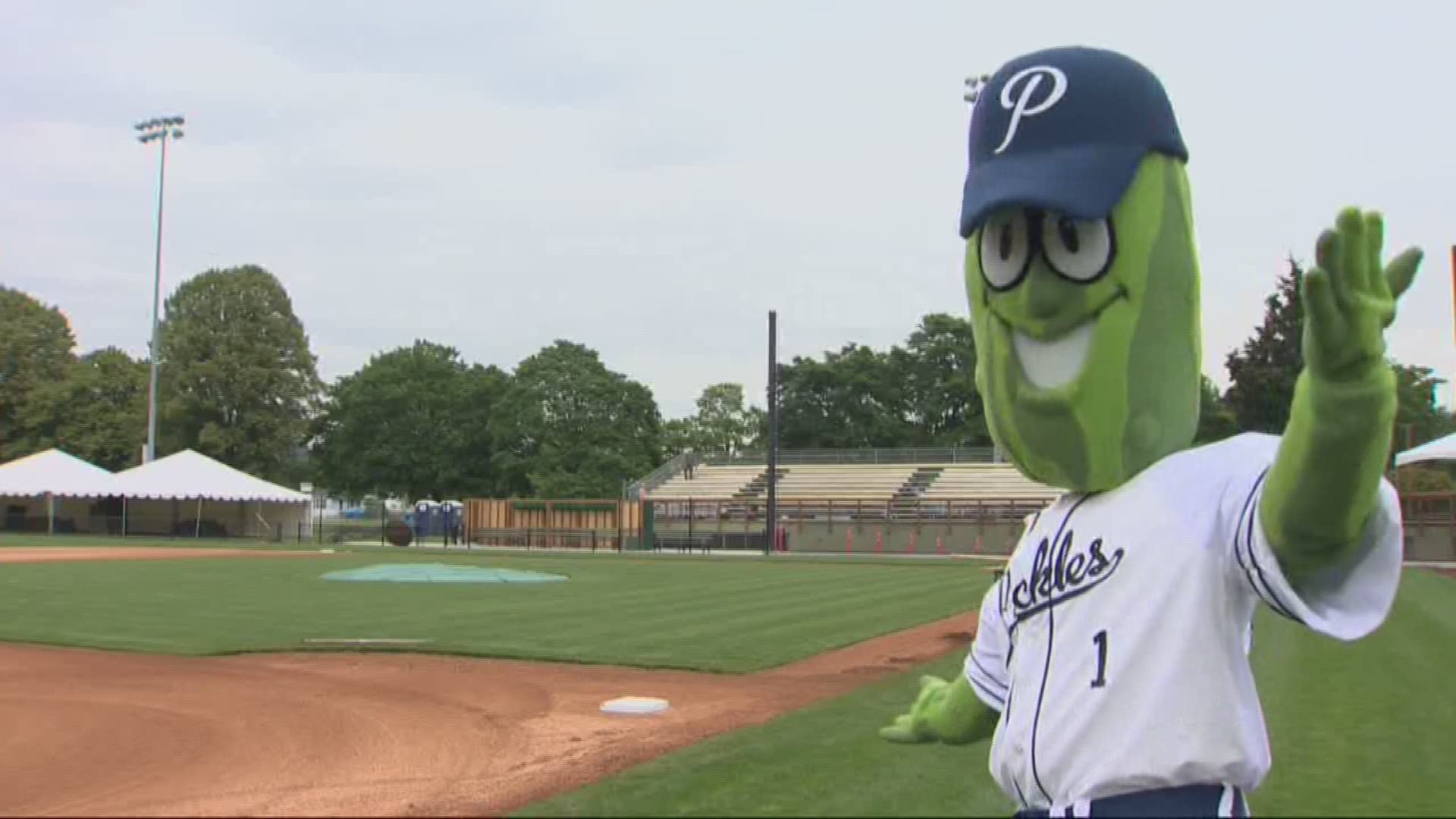 Portland Pickles Mascot Has Been Returned Team Says Kgw