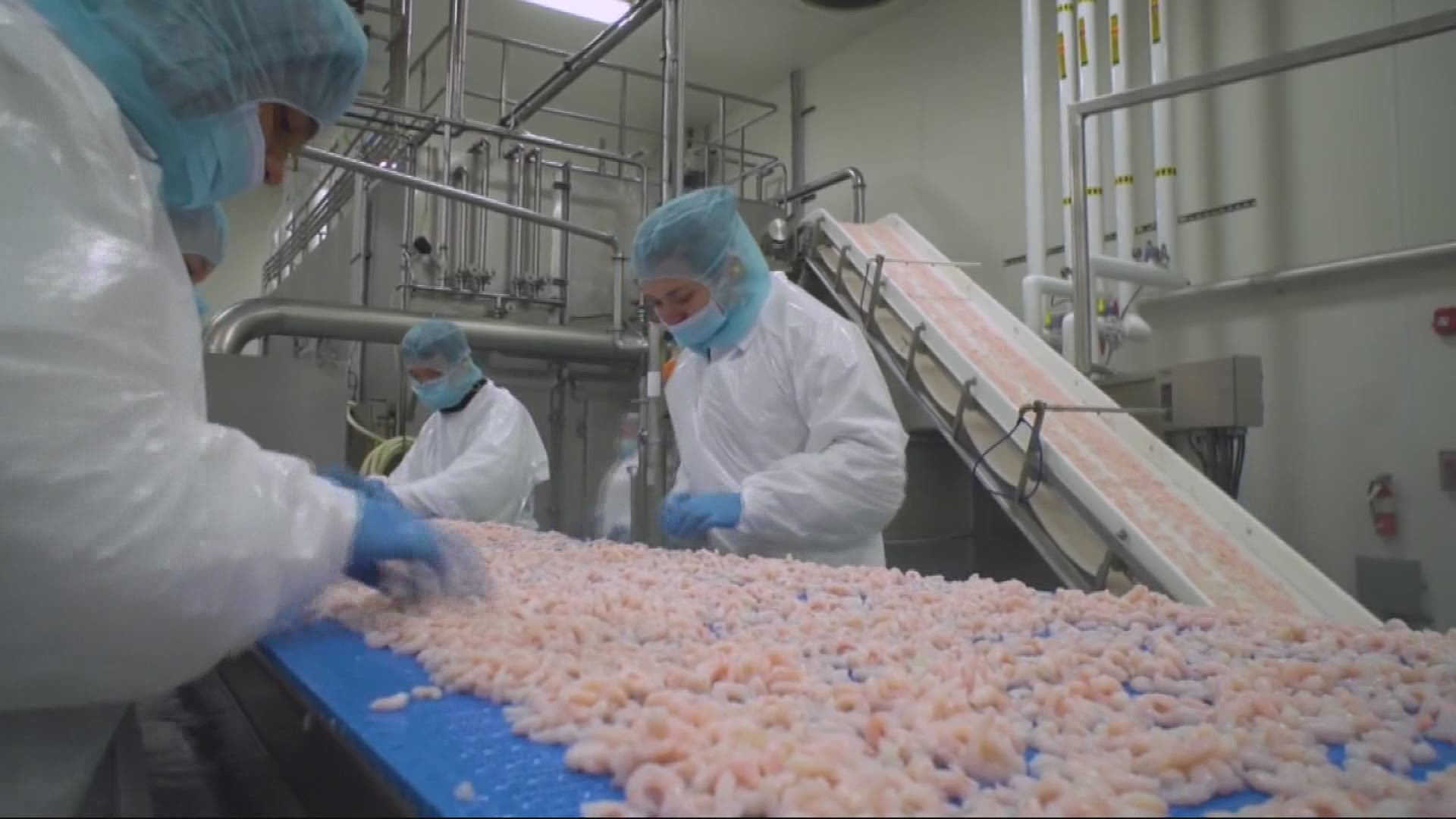 Several companies that gather the food we eat are making plans to get their workers vaccinated. Pat Dooris has the latest on the seafood industry.