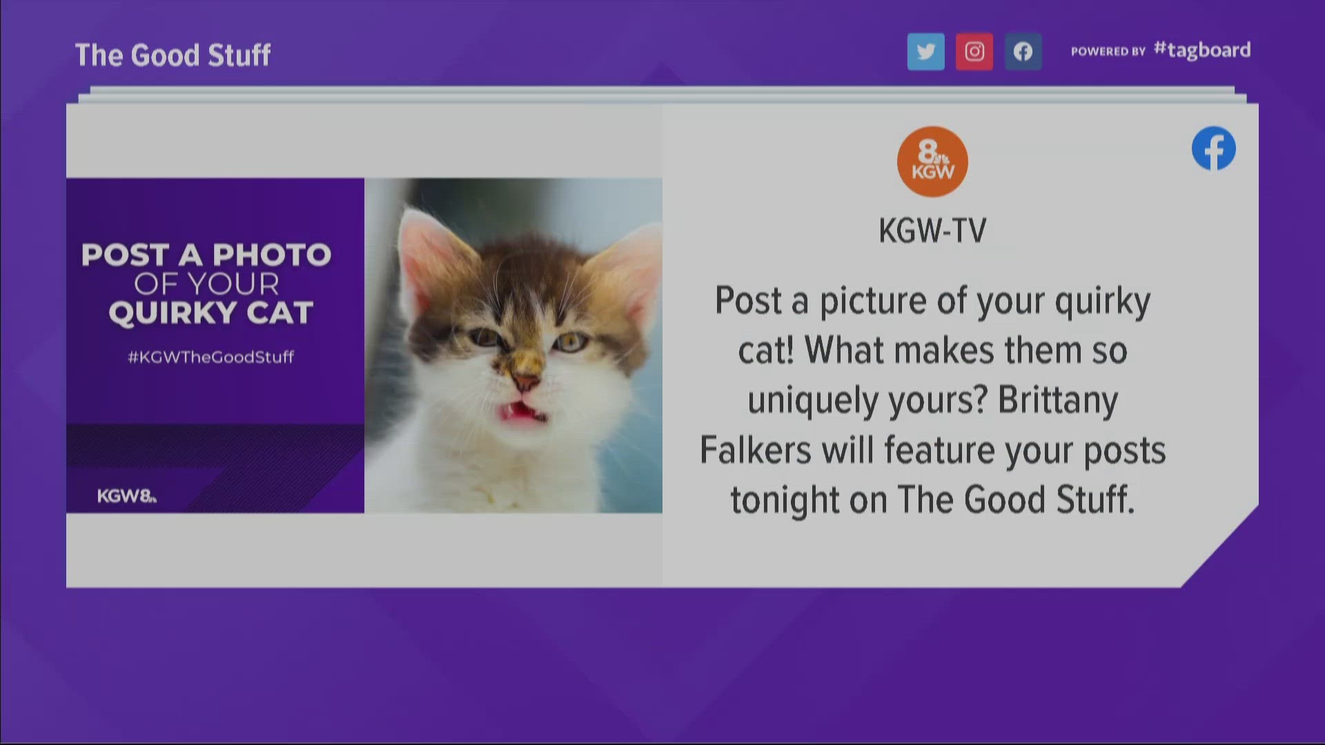 KGW viewers submitted quirky pictures of their cats while describing what makes their cats so unique on the good stuff.