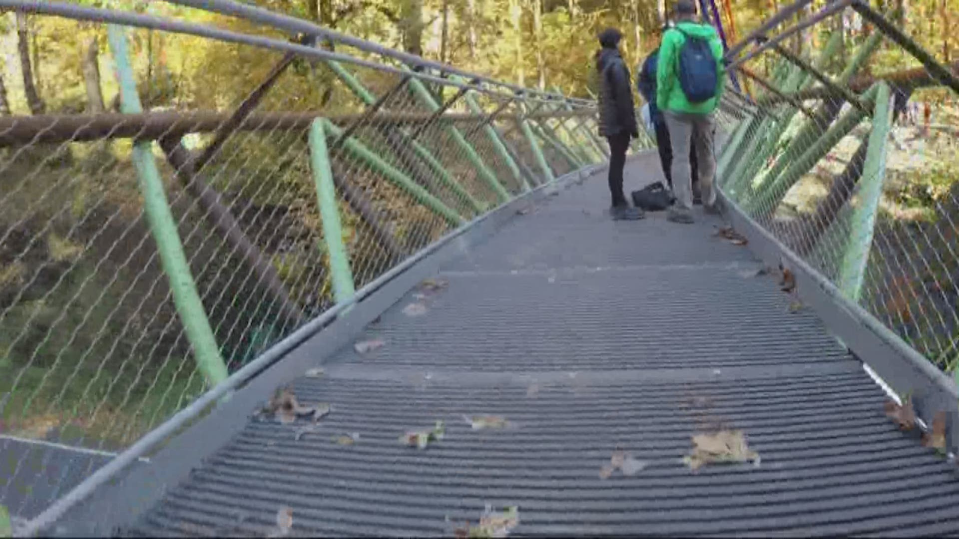 The pedestrian connects Forest Park and Washington Park on the Wildwood Trail.