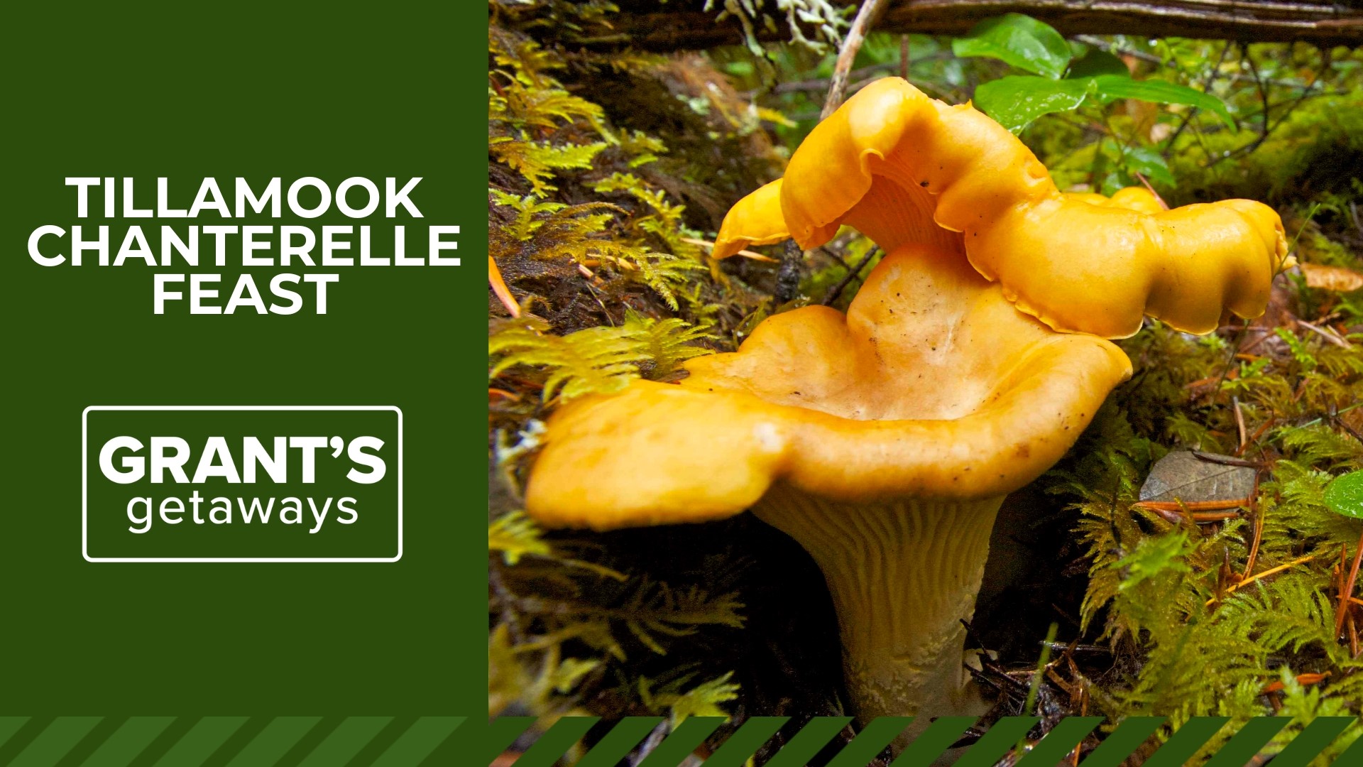 The gorgeous fungi have been Oregon's official State Mushroom since 1999, and they're the centerpiece of many a delicious recipe.