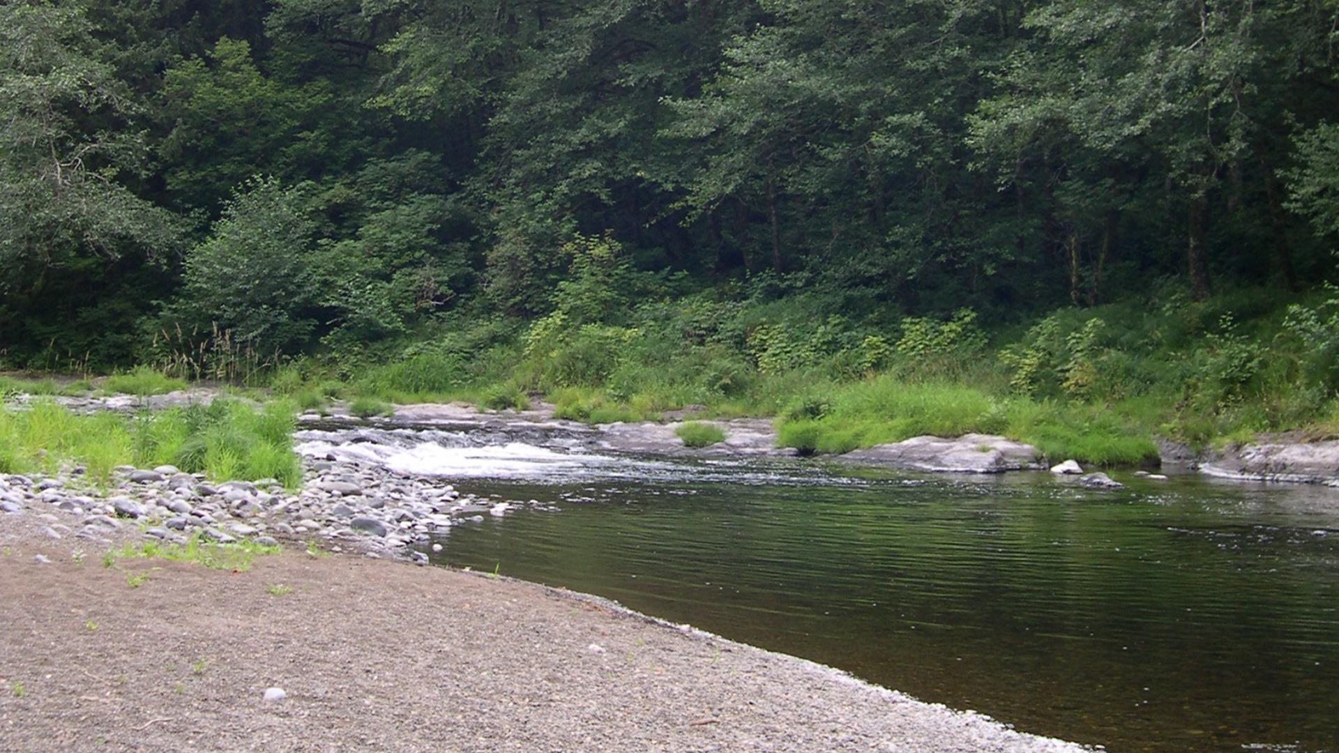 Camping on Trask River in Oregon Coast Range | kgw.com