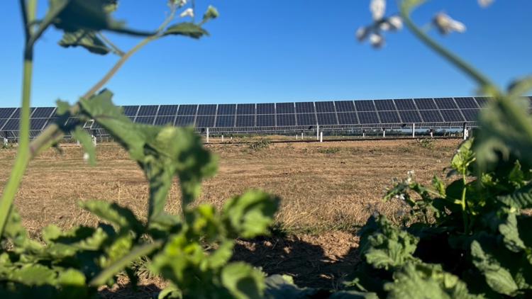OSU professor believes combining solar energy and agriculture is the path to a sustainable future
