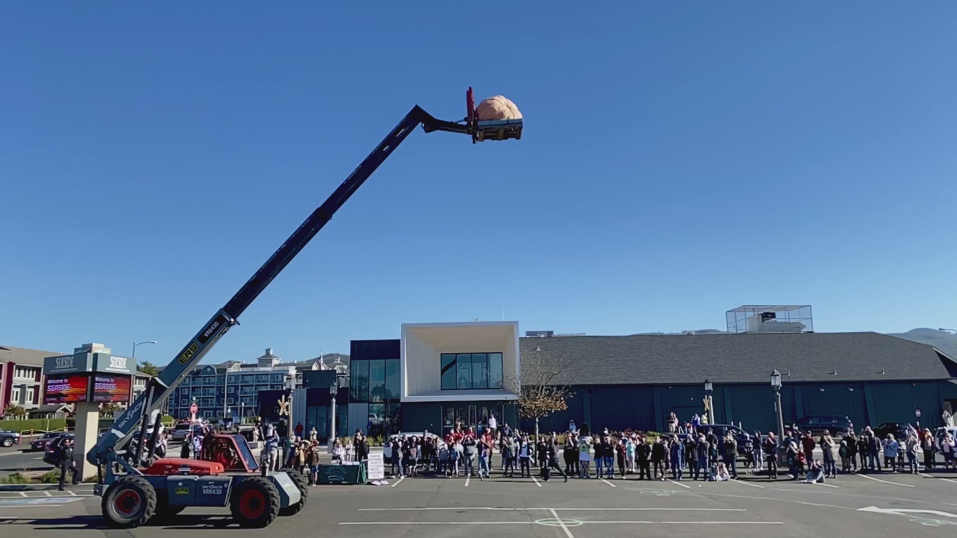 There was a giant pumpkin drop in the downtown parking lot of Seaside, Oregon at noon today. 

The event was put on by the Seaside Downtown Development Association.