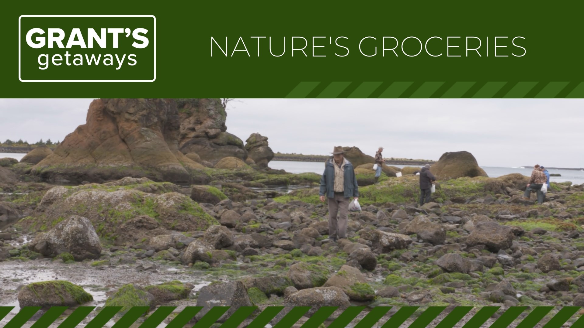 John Kallas knows just where to find Oregon's tasty shellfish, seaweed and edible plants, making quick work of foraging for food.