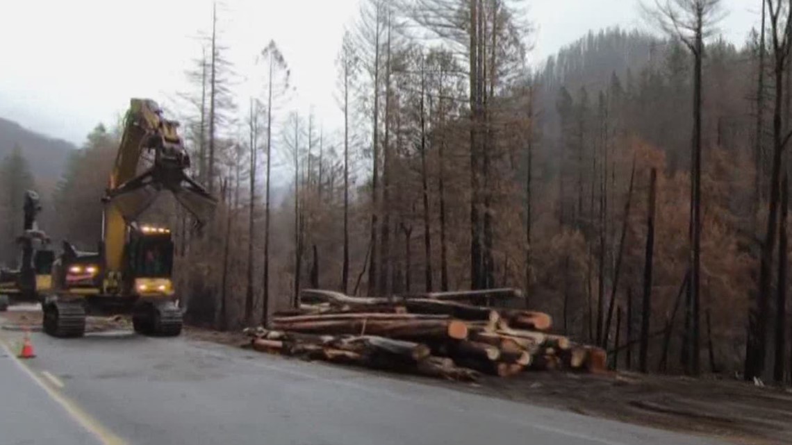 Controversy over perceived 'clear cutting' of trees in Oregon